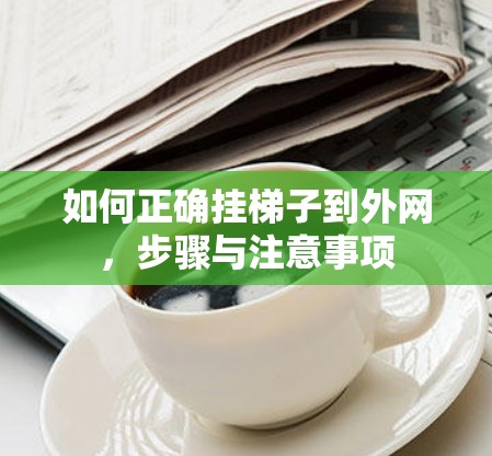 如何正确挂梯子到外网，步骤与注意事项