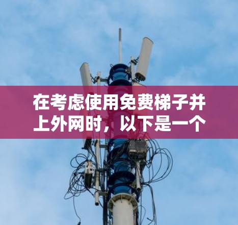 在考虑使用免费梯子并上外网时，以下是一个清晰的解决方案