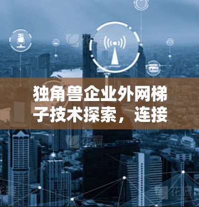 独角兽企业外网梯子技术探索，连接全球市场的未来