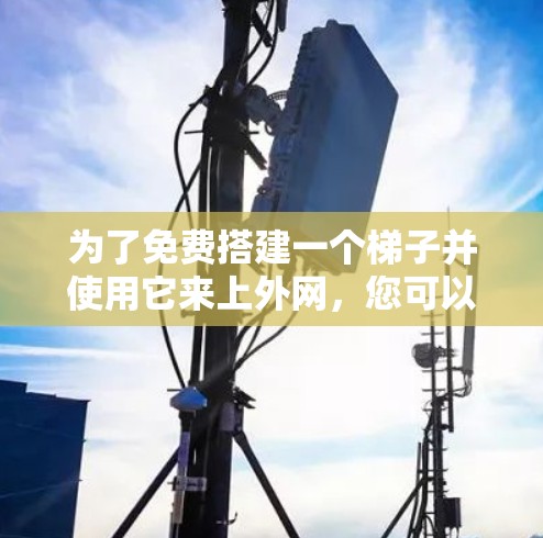 为了免费搭建一个梯子并使用它来上外网，您可以按照以下步骤操作
