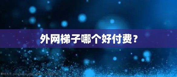 外网梯子哪个好付费？