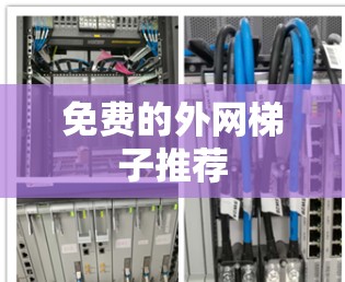 免费的外网梯子推荐