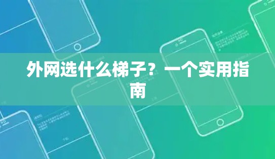 外网选什么梯子？一个实用指南