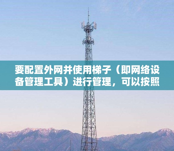 要配置外网并使用梯子（即网络设备管理工具）进行管理，可以按照以下步骤进行