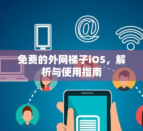 免费的外网梯子iOS，解析与使用指南