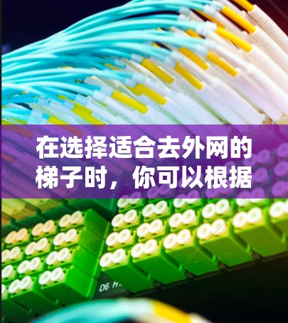 在选择适合去外网的梯子时，你可以根据以下因素进行综合考虑