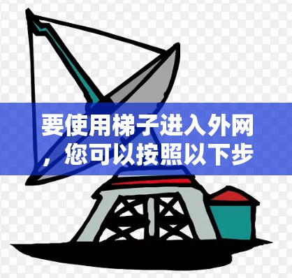 要使用梯子进入外网，您可以按照以下步骤操作