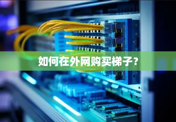 如何在外网购买梯子？