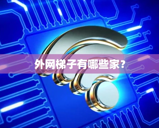 外网梯子有哪些家？
