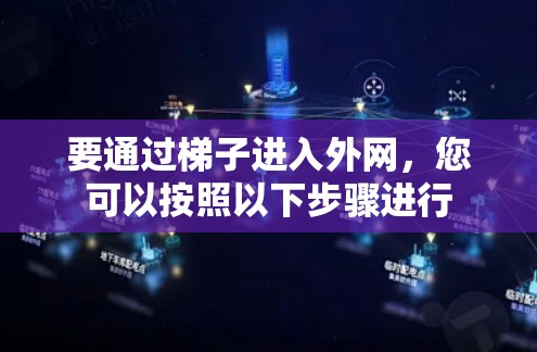 要通过梯子进入外网，您可以按照以下步骤进行
