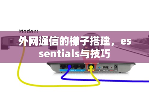 外网通信的梯子搭建，essentials与技巧
