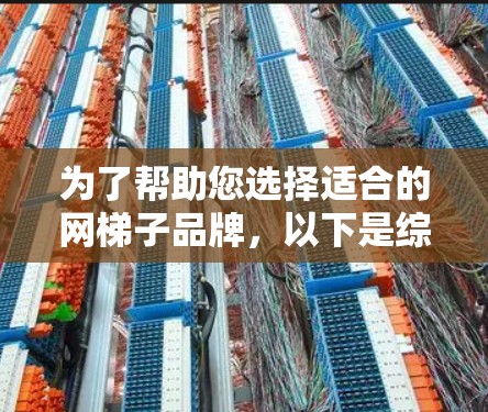 为了帮助您选择适合的网梯子品牌，以下是综合考虑的因素和推荐
