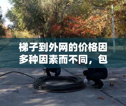 梯子到外网的价格因多种因素而不同，包括梯子的材料、质量、长度、使用频率、使用地点、以及需要的额外检查。以下是一些关键因素和建议