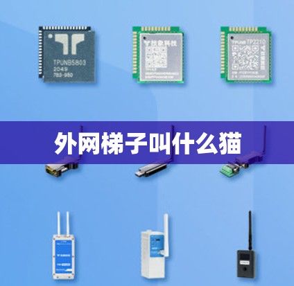 外网梯子叫什么猫