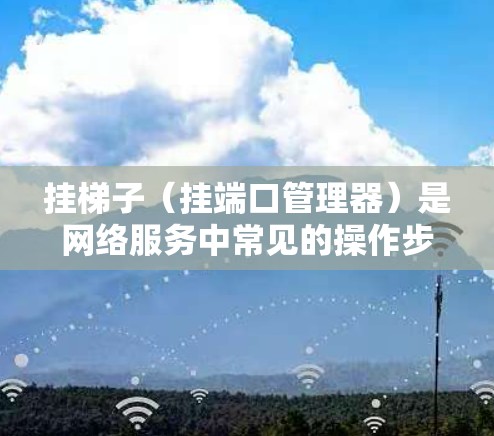 挂梯子（挂端口管理器）是网络服务中常见的操作步骤之一，主要用于管理多个网络接口。以下是挂梯子的具体步骤