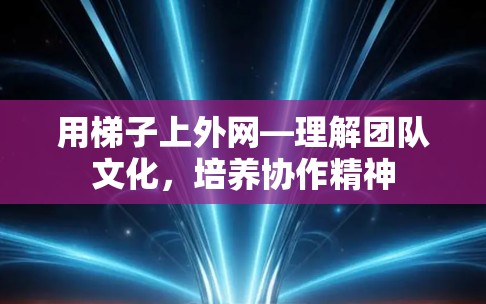 用梯子上外网—理解团队文化，培养协作精神