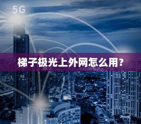梯子极光上外网怎么用？