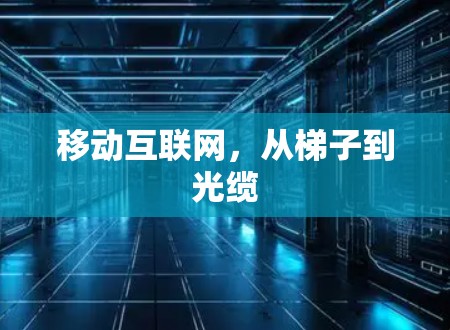移动互联网，从梯子到光缆