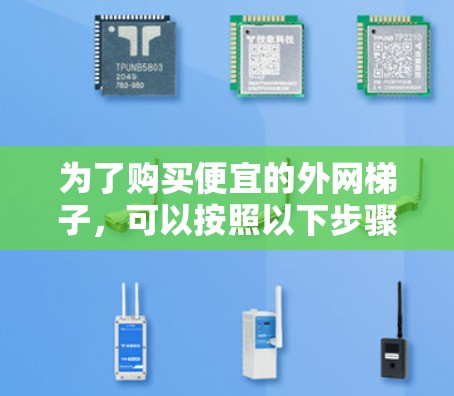 为了购买便宜的外网梯子，可以按照以下步骤进行