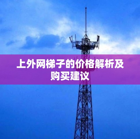 上外网梯子的价格解析及购买建议