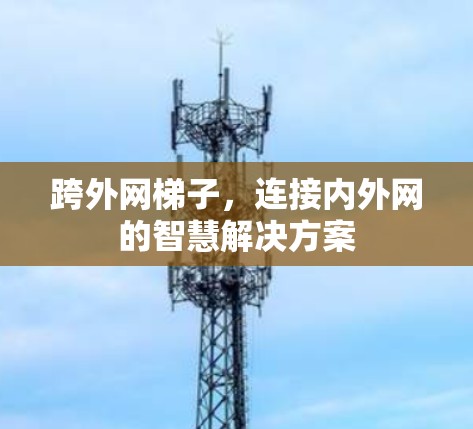 跨外网梯子，连接内外网的智慧解决方案