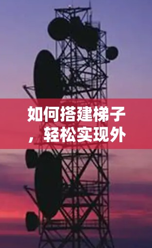 如何搭建梯子，轻松实现外网下载