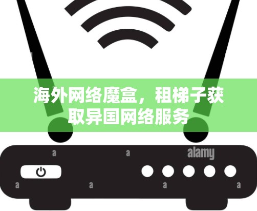 海外网络魔盒，租梯子获取异国网络服务