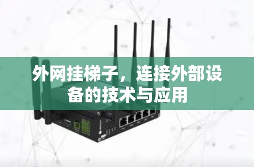 外网挂梯子，连接外部设备的技术与应用