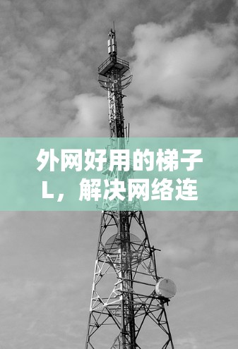 外网好用的梯子L，解决网络连接难题的全能设备