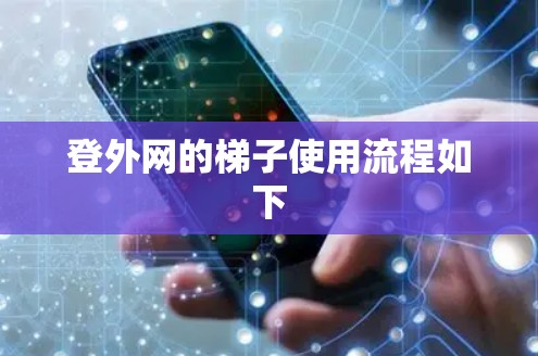 登外网的梯子使用流程如下