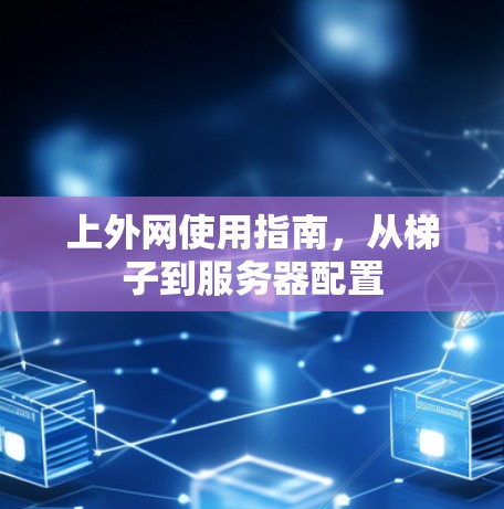 上外网使用指南，从梯子到服务器配置