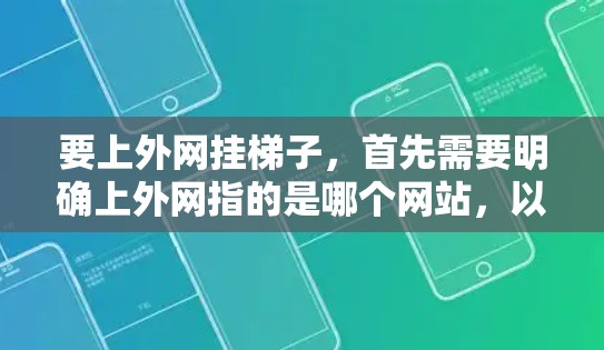 要上外网挂梯子，首先需要明确上外网指的是哪个网站，以及挂梯子具体指什么操作。假设上外网是指中国教育网，那么挂梯子可能指的是在某个设备上安装或挂载该网站的某个版本。以下是一些步骤供参考