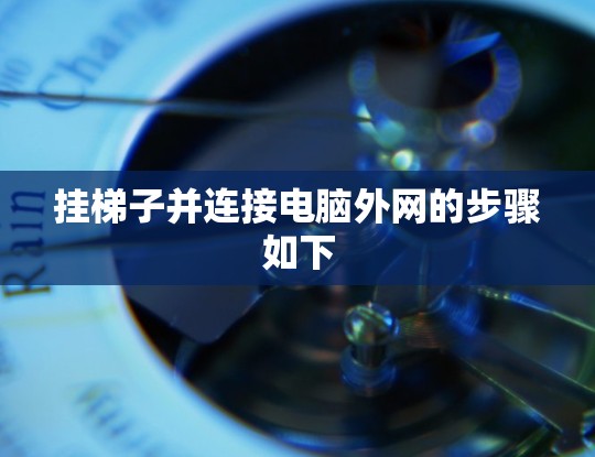 挂梯子并连接电脑外网的步骤如下