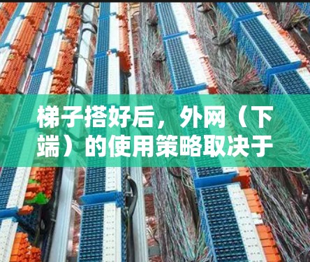 梯子搭好后，外网（下端）的使用策略取决于具体需求，以下是几种常见的使用方法