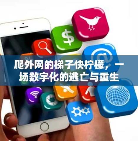 爬外网的梯子快柠檬，一场数字化的逃亡与重生