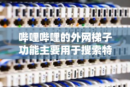 哔哩哔哩的外网梯子功能主要用于搜索特定的视频内容，如中国新剧。以下是一步步的使用方法