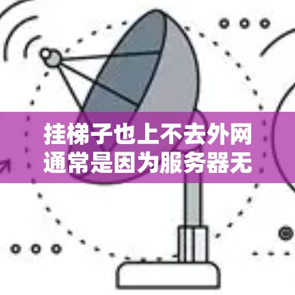 挂梯子也上不去外网通常是因为服务器无法访问你的设备，这可能由多种原因导致
