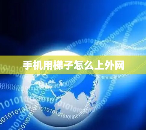 手机用梯子怎么上外网