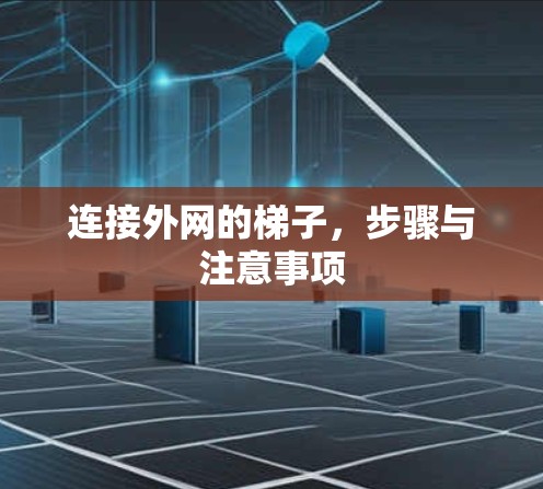 连接外网的梯子，步骤与注意事项