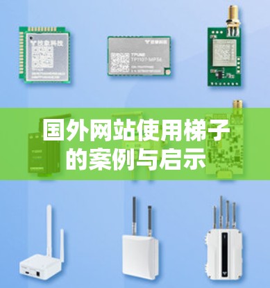 国外网站使用梯子的案例与启示