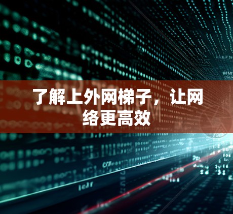 了解上外网梯子，让网络更高效