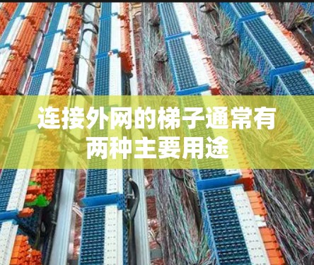 连接外网的梯子通常有两种主要用途