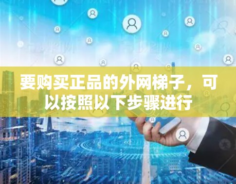 要购买正品的外网梯子，可以按照以下步骤进行