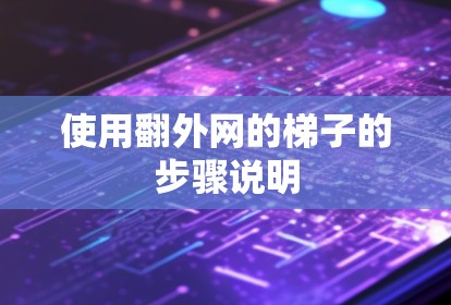 使用翻外网的梯子的步骤说明