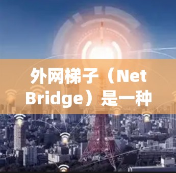 外网梯子（NetBridge）是一种用于管理外部网络连接的软件工具，主要功能包括创建、管理、切换和删除连接，并提供状态管理。以下是其主要功能和应用