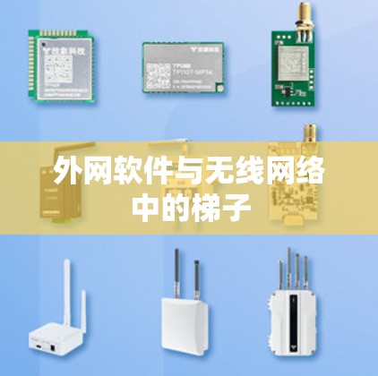 外网软件与无线网络中的梯子