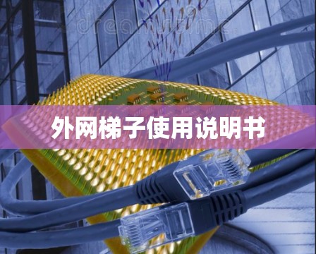 外网梯子使用说明书