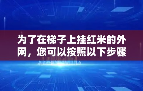 为了在梯子上挂红米的外网，您可以按照以下步骤操作