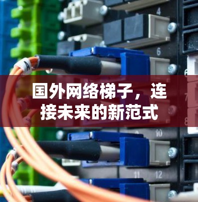 国外网络梯子，连接未来的新范式