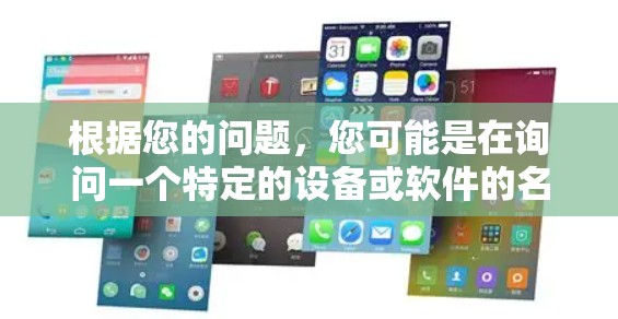 根据您的问题，您可能是在询问一个特定的设备或软件的名称。以下是一些可能的解释
